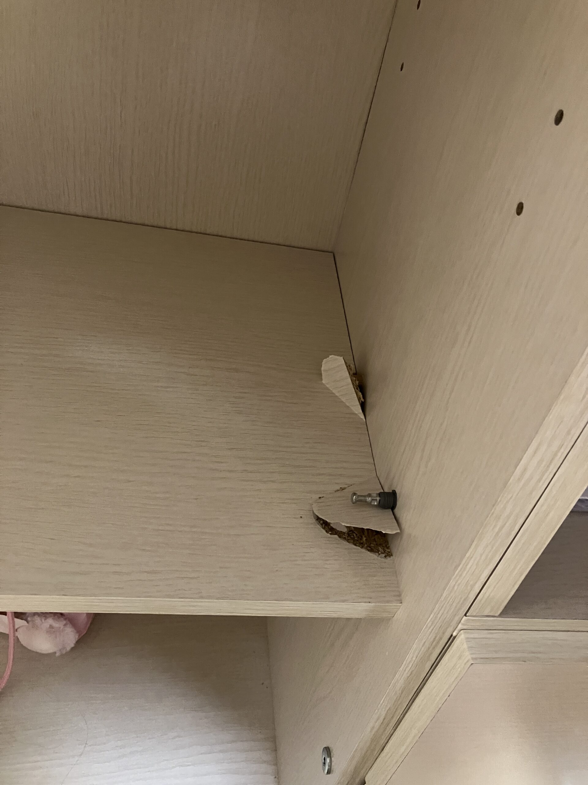 買った当日壊れちゃった棚